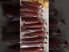 뜨거운 판매 브라질의 처녀 인 머리 대량