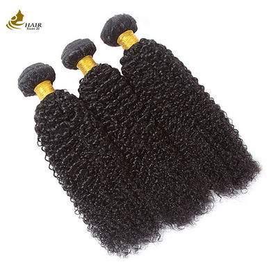 Kinky Beauty Supply Hair Bundles 가공되지 않은 브라질 인모